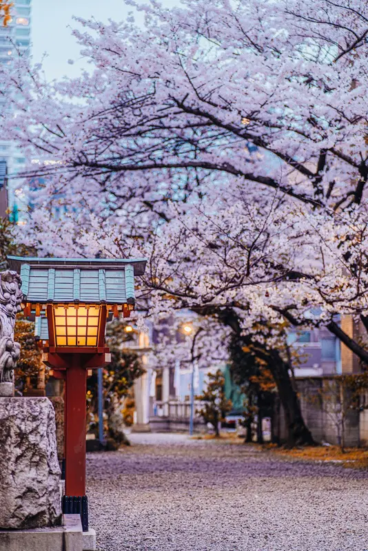 Kari.Tokyo Premium Domain